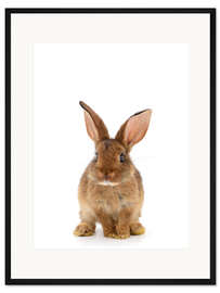 Gerahmter Kunstdruck Häschen