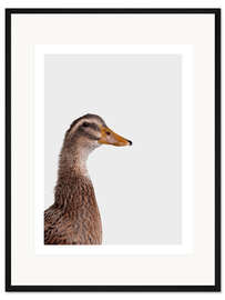 Gerahmter Kunstdruck Glückliche Ente