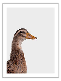 Wandbild  Glückliche Ente - Animal Kids Collection