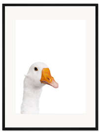Gerahmter Kunstdruck Weiße Gans I