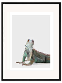 Gerahmter Kunstdruck Freundlicher Leguan