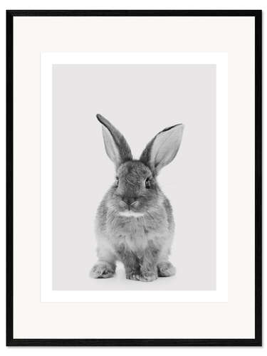 Framed art print Cuddly Bunny