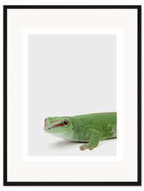Gerahmter Kunstdruck Baby Gekko