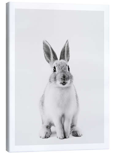 Canvas print Happy Bunny