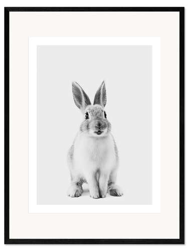 Framed art print Happy Bunny