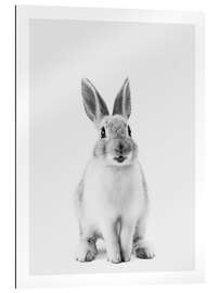 Gallery print Happy Bunny