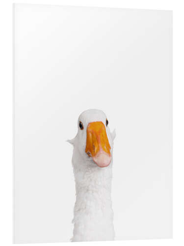 Foam board print White Goose II