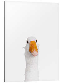 Magnettafel Weiße Gans II