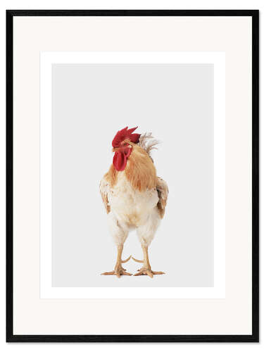 Plakat artystyczny premium w ramie Rooster I