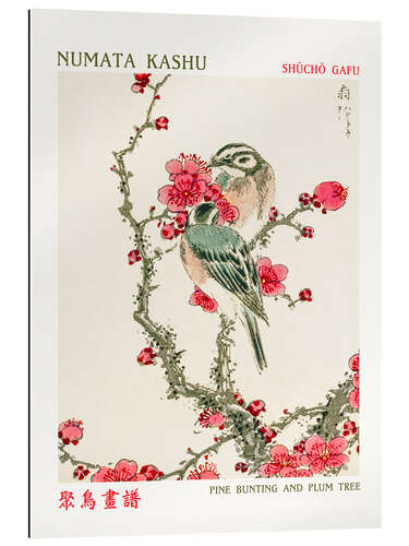 Gallery print Pine Bunting & Plum Tree