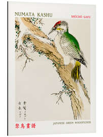 Aluminium print Japanese Green Woodpecker