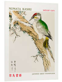 Foam board print Japanese Green Woodpecker