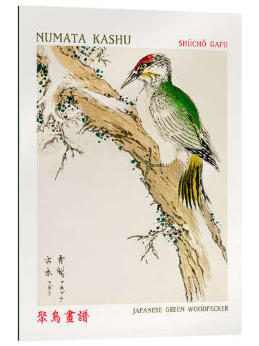 Gallery print Japanese Green Woodpecker