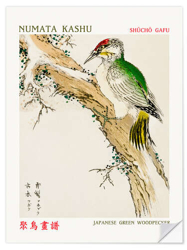 Selvklebende plakat Japanese Green Woodpecker