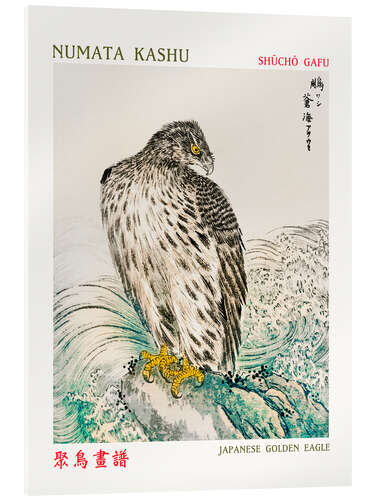 Acrylglasbild Japanese Golden Eagle