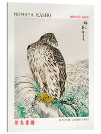 Gallery Print Japanese Golden Eagle