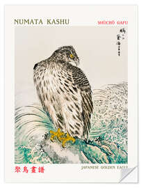 Selvklebende plakat Japanese Golden Eagle