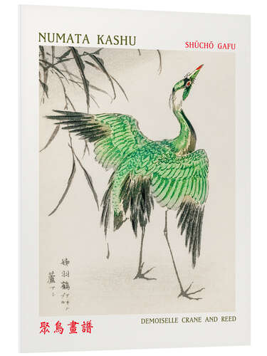 Tableau en PVC Demoiselle Crane & Reed