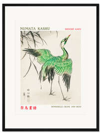 Gerahmter Kunstdruck Demoiselle Crane &amp; Reed