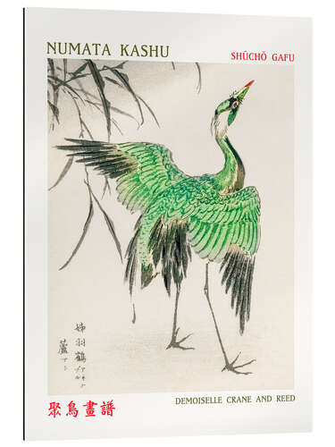 Gallery Print Demoiselle Crane & Reed