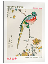 Gallery print Macaw &amp; Drooping Peach