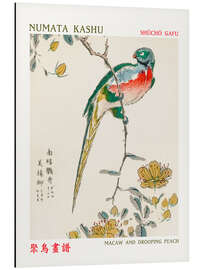 Magnettafel Macaw &amp; Drooping Peach