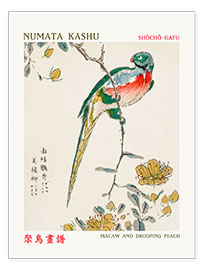 Wall print  Macaw &amp; Drooping Peach - Numata Kashu