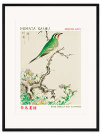 Gerahmter Kunstdruck Ruby Throat &amp; Camomile