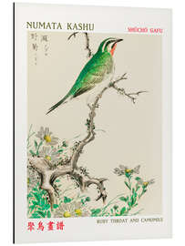 Magnettafel Ruby Throat &amp; Camomile