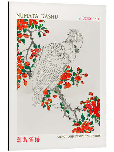 Tableau en aluminium Parrot & Pyrus Spectabilis