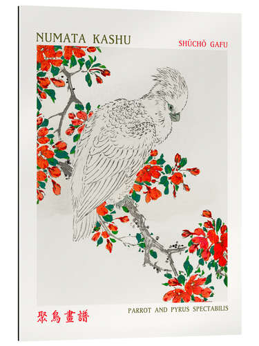 Gallery print Parrot & Pyrus Spectabilis