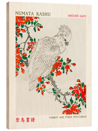 Wood print Parrot & Pyrus Spectabilis