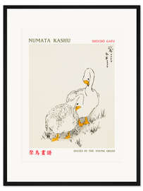 Gerahmter Kunstdruck Ducks in the Young Grass