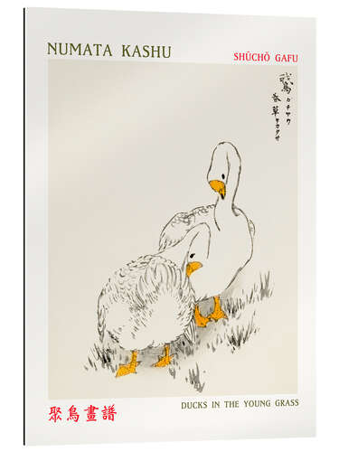 Gallery print Ducks in the Young Grass