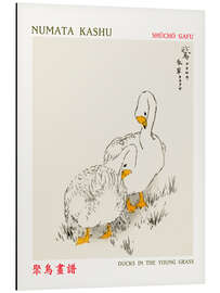 Magnettafel Ducks in the Young Grass