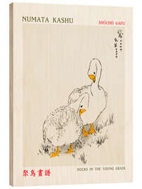 Wood print Ducks in the Young Grass