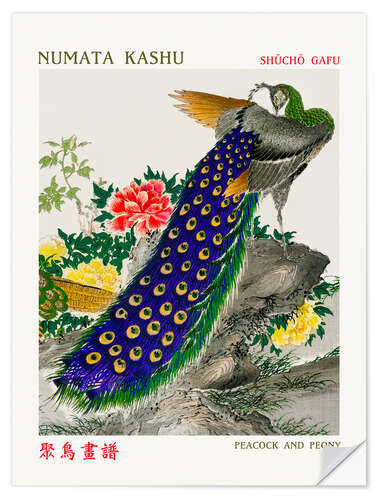 Naklejka na ścianę Peacock & Peony