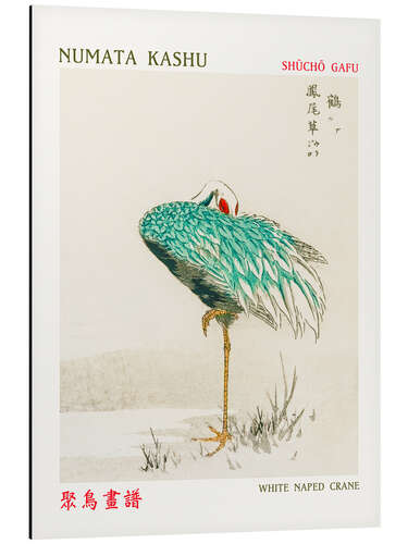 Aluminium print White Naped Crane