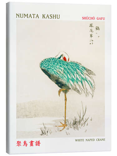Canvas print White Naped Crane