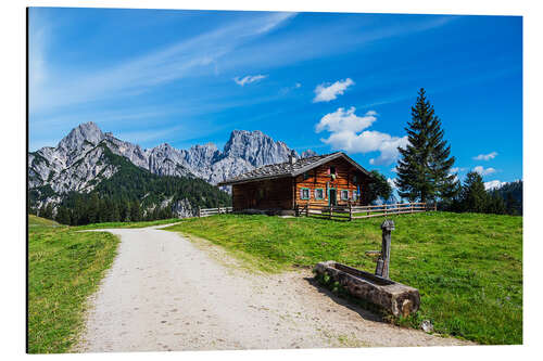 Obraz na aluminium View of the Litzlalm with a hut in Austria