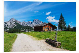 Magnettafel Blick auf die Litzlalm mit Hütte in Österreich
