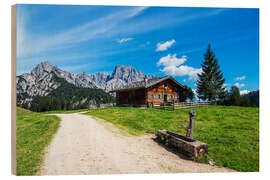 Holzbild Blick auf die Litzlalm mit Hütte in Österreich