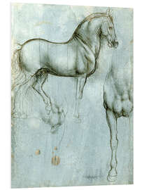 Foam board print Studies of a horse