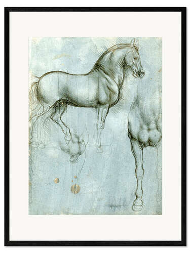 Ingelijste kunstdruk Studies of a horse