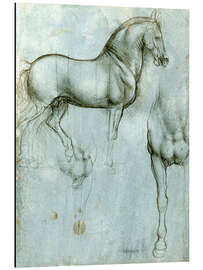 Magnettafel Studie von Pferden