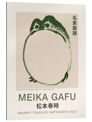 Tableau en plexi-alu Meika Gafu - Grumpy Toad II