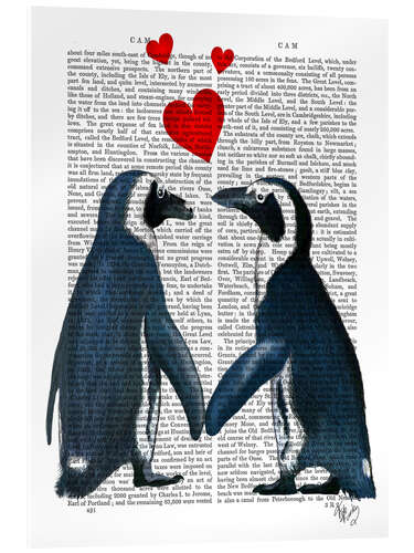 Cuadro de metacrilato Penguins in Love