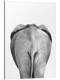 Magnettafel Elefant von hinten