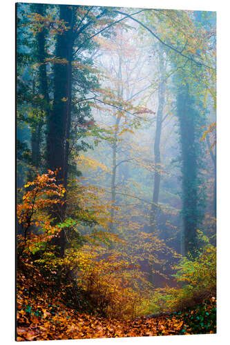 Aluminiumsbilde Trees in the fog