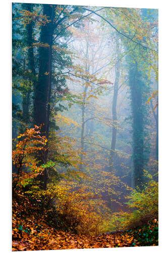 Foam board print Trees in the fog